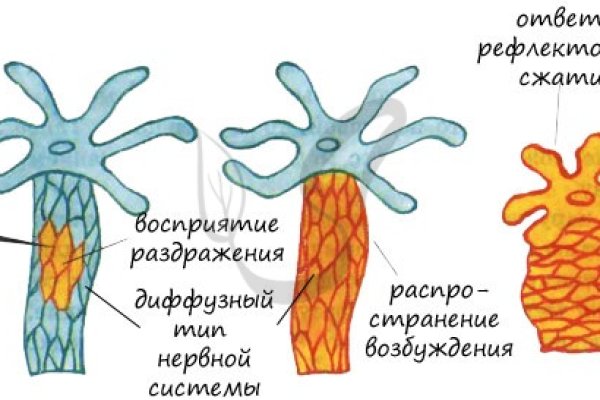 Kra36.cc